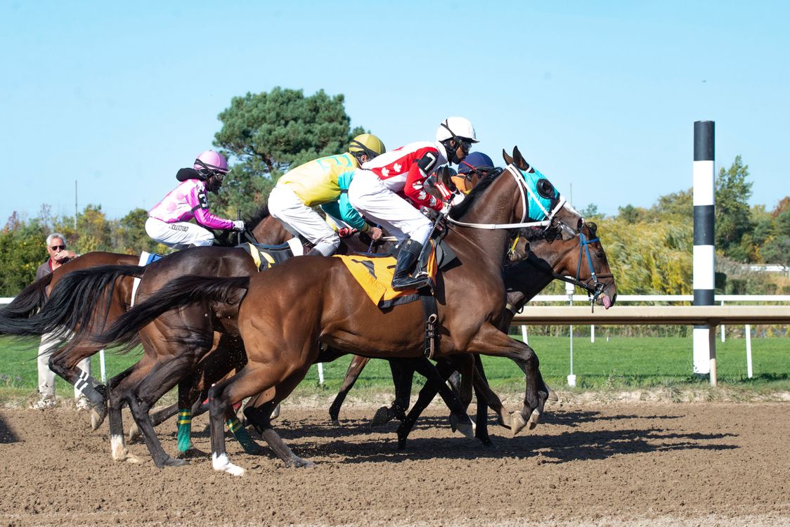Jockeys Riding Horse During Race Free Stock Photo jockeys-riding-horse-during-race-free-stock-photo