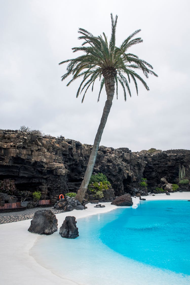 Rugged Rocks Surrounding The Artificial Pond By Jameos Del Agua In Punta Mujeres Spain