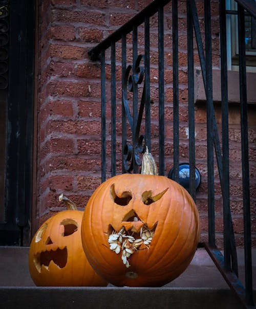 Foto stok gratis brooklyn, bungkuk, dekorasi halloween