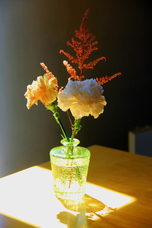 A Flower Vase on a Table · Free Stock Photo