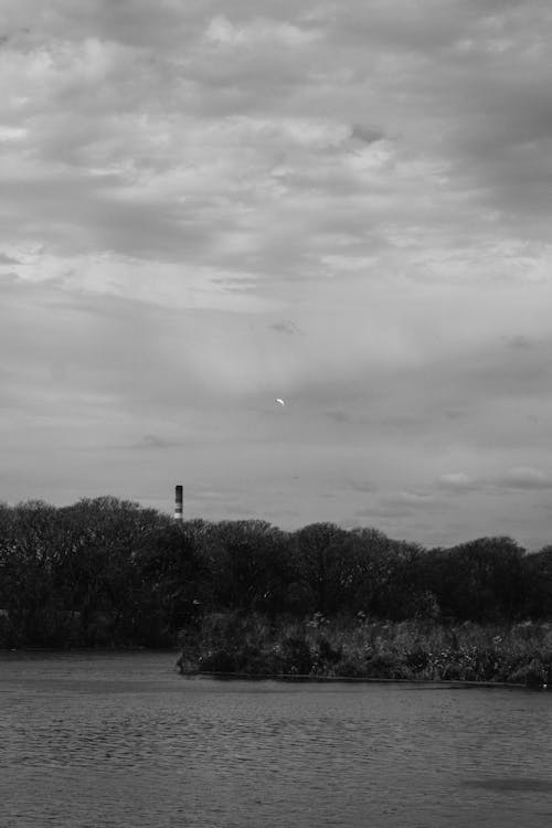 Chimney Behind the Trees by the River