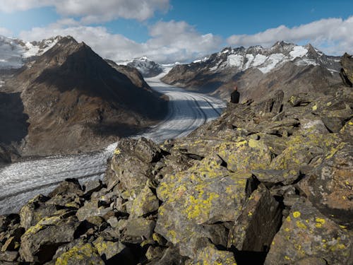 Foto profissional grátis de alpinista, aventura, bicos