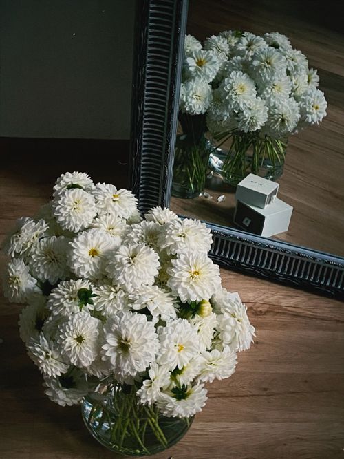Free stock photo of blossoms, bouquet, bouquet of flowers Stock Photo