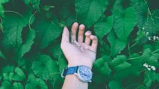 一只戴着手表的手的特写，周围环绕着郁郁葱葱的绿叶和精致的藤蔓