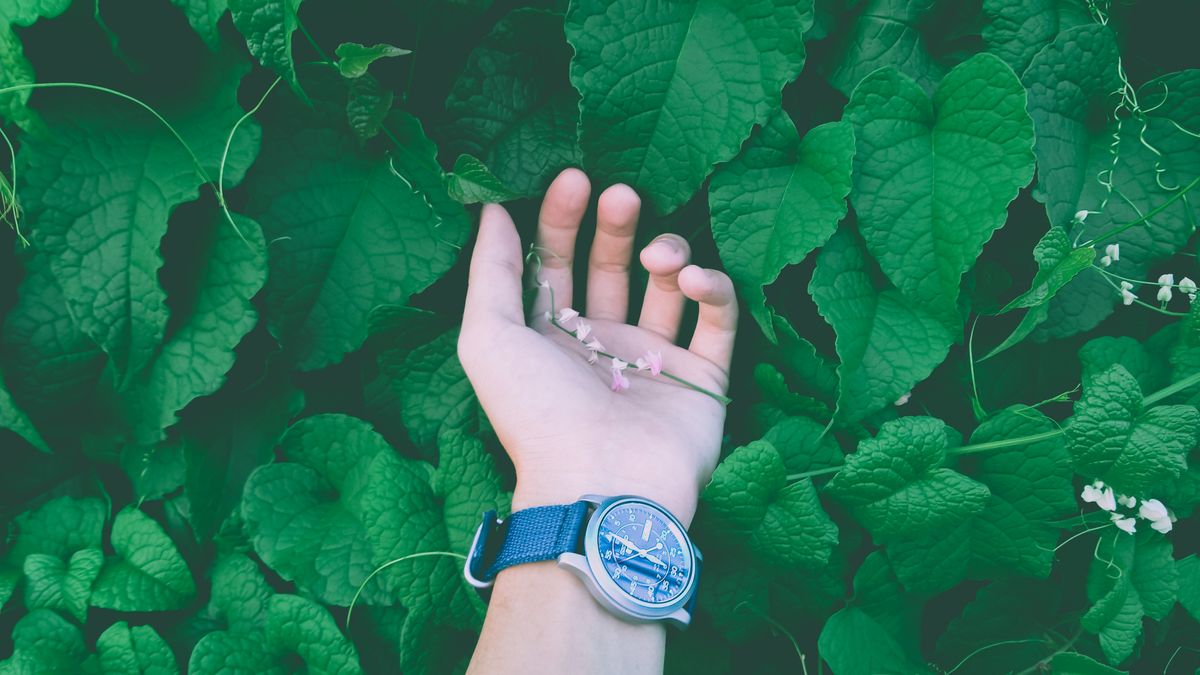 Cadran et bracelet d'une montre habillée à l'esthétique classique