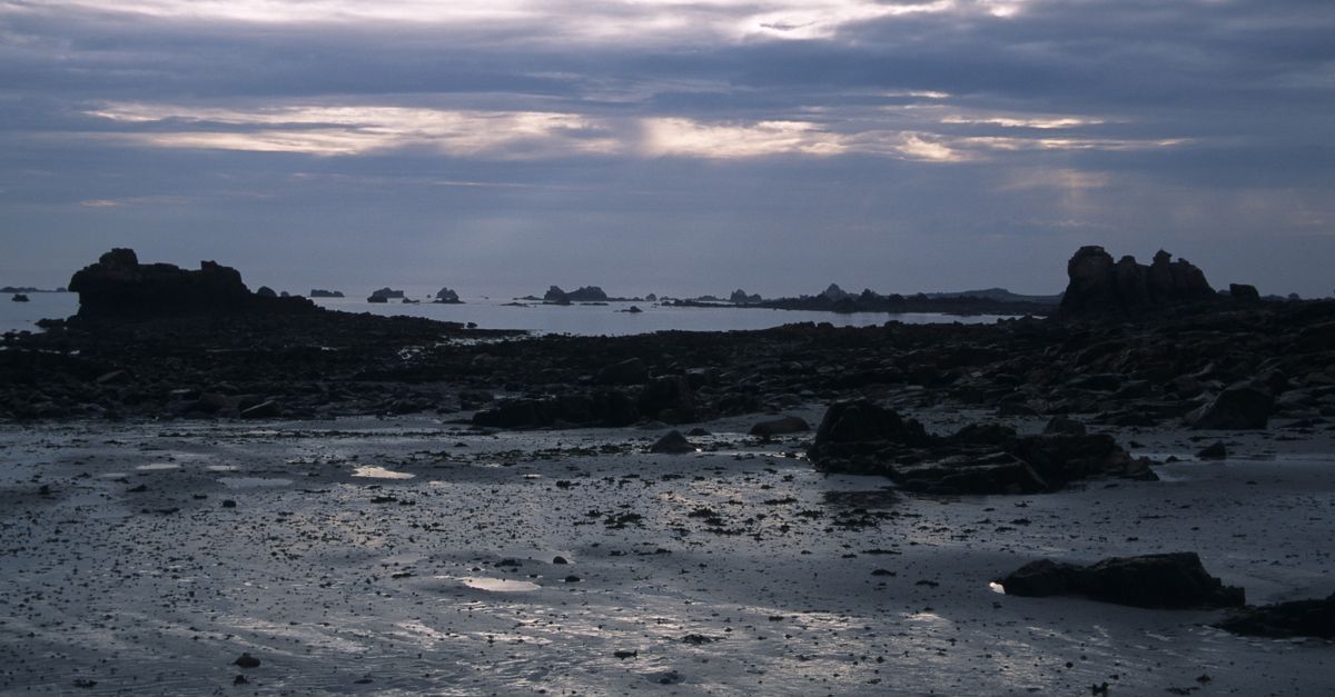 Beach and Rocks on Sea Shore · Free Stock Photo