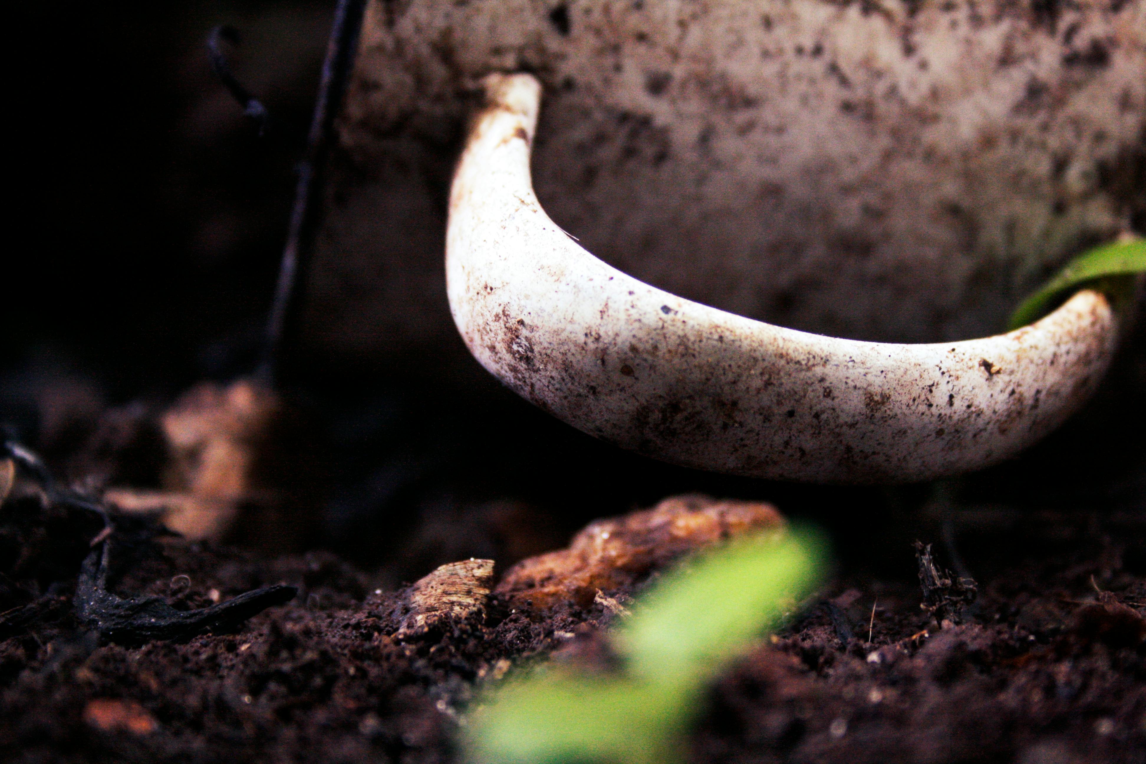 Free stock photo of composite, cup, dirt