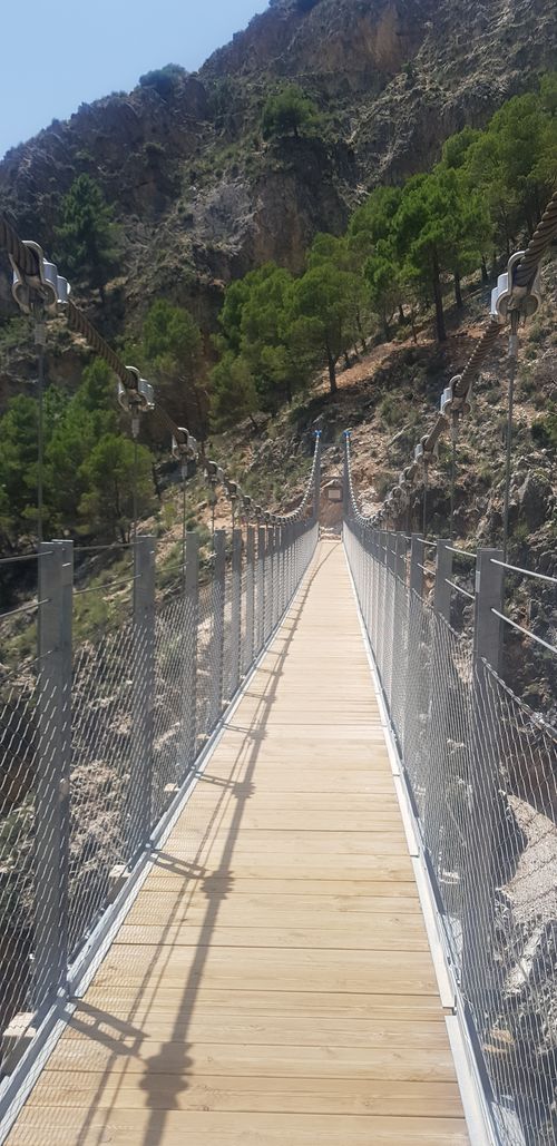Free Bridge Stock Photo