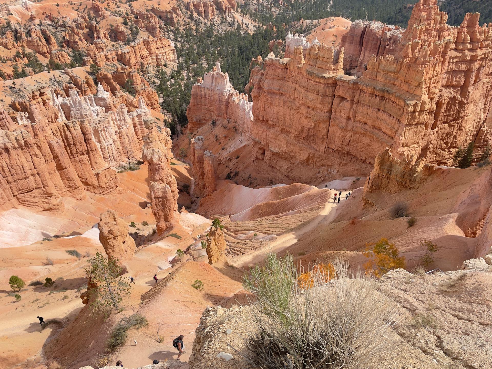 Eroded Sandstone Formations of Canyon