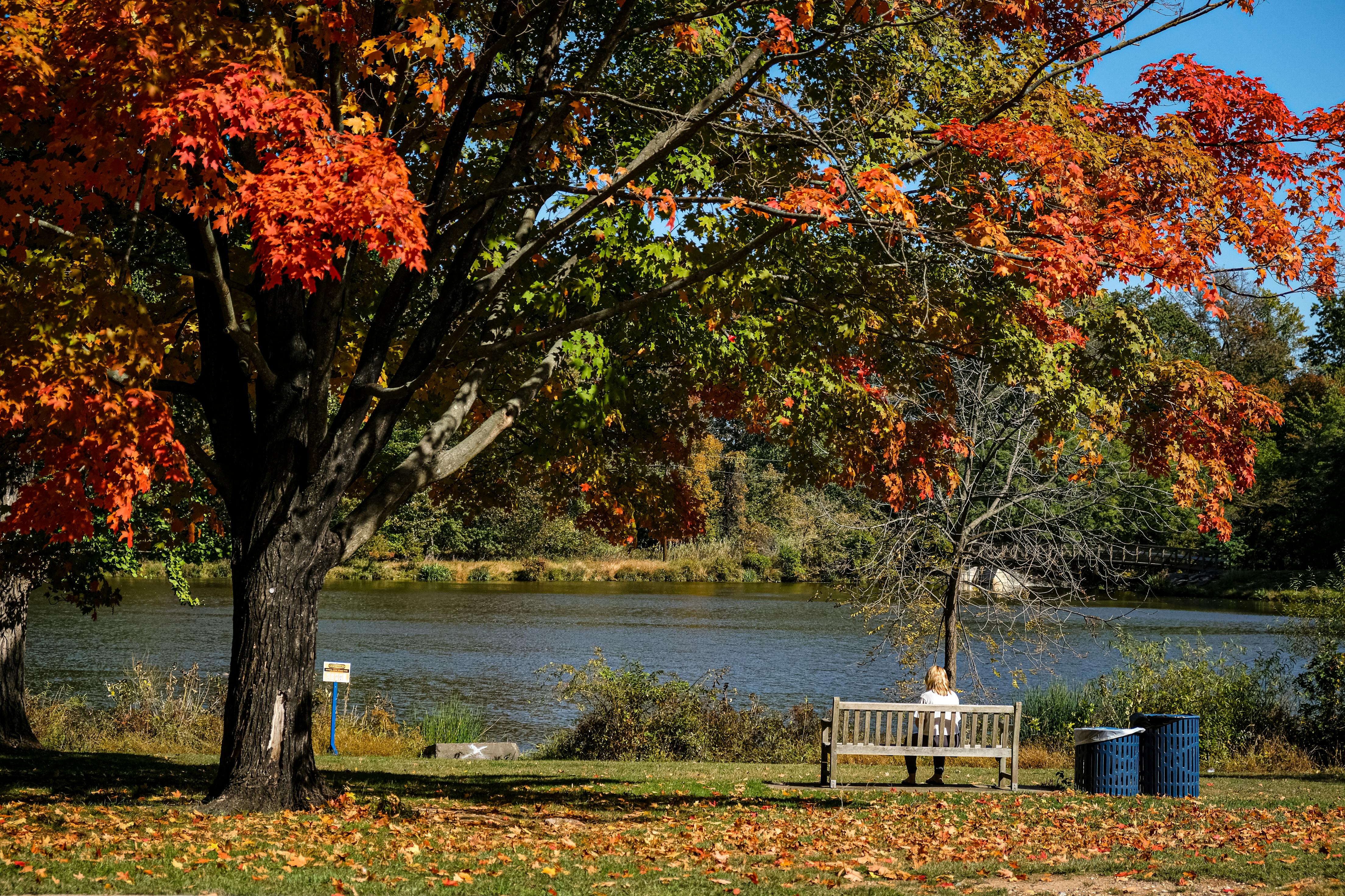 passerby sitting by the sylva lake in the autumn park