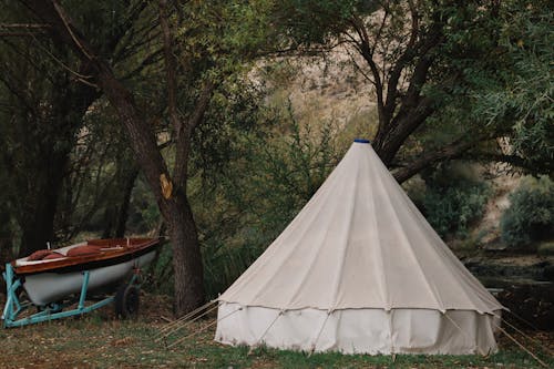 Imagine de stoc gratuită din arbori, barcă, camping