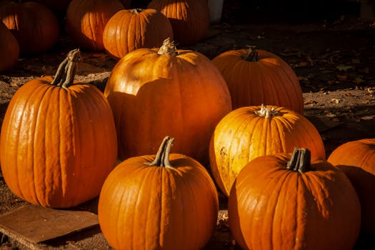 A collection of vibrant orange pumpkins arranged outdoors, perfect for fall themes.