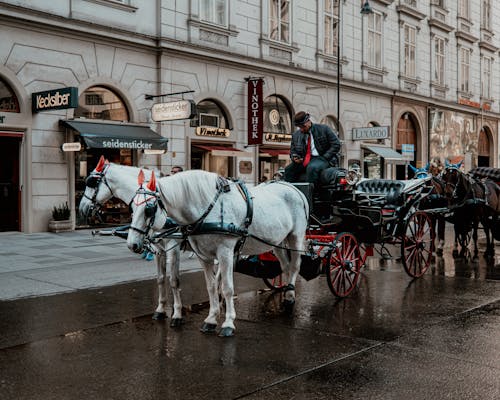 Man Sitting on a Carriage in a City 