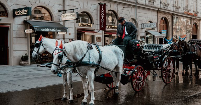 Agriculture Minister raises concerns over horse‑drawn vehicles on Irish roads