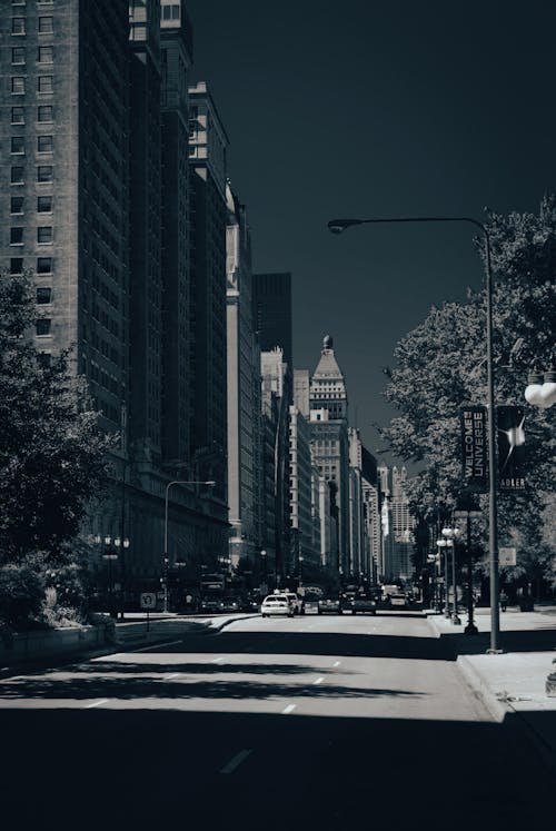 Free Street in Chicago  Stock Photo