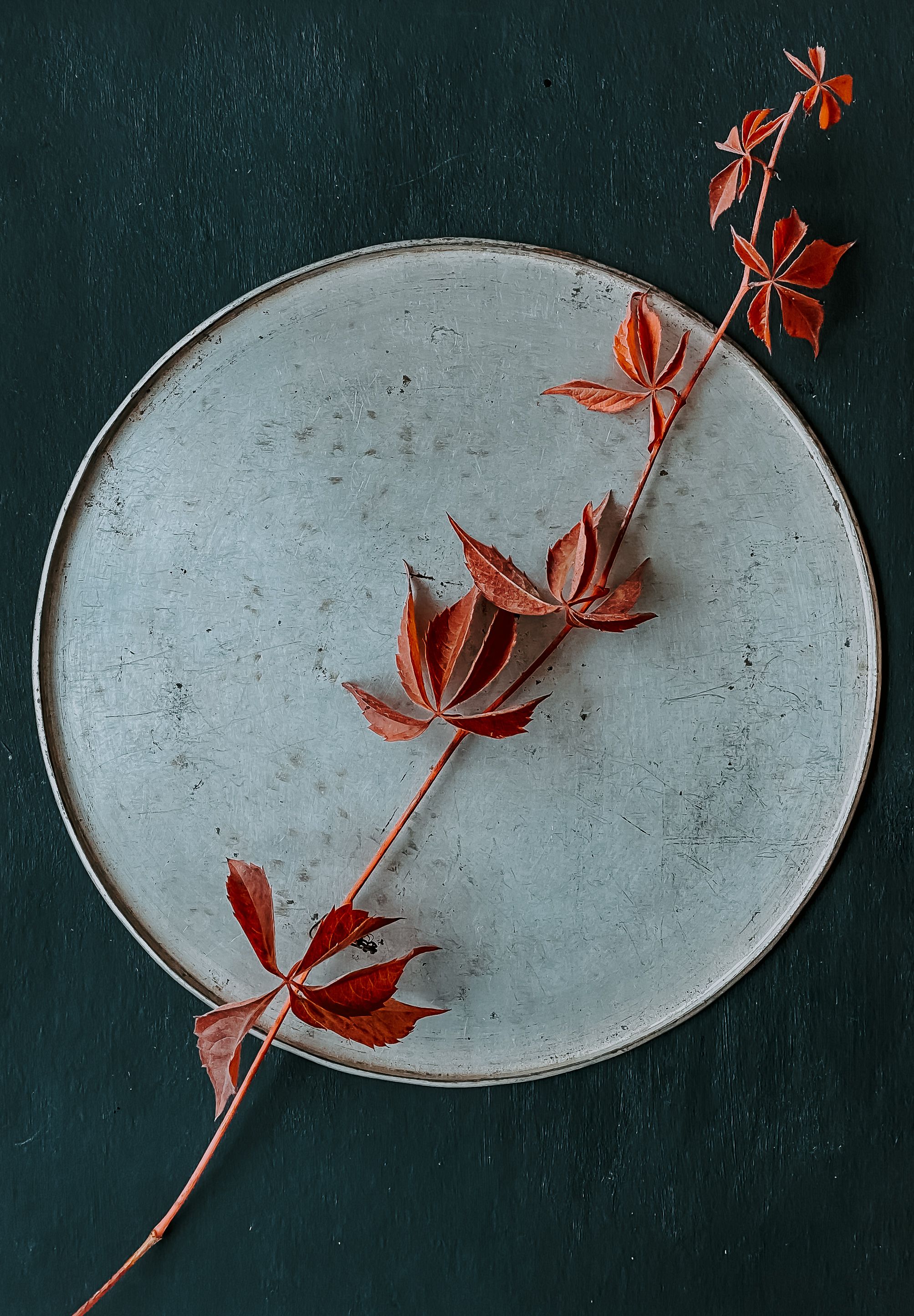 Red autumn leaves artfully arranged on a rustic plate create a minimalist and serene still life.
