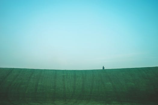 蔚蓝的天空下，一个孤独的人站在绿草如茵的小山上，让人想起一种孤独的感觉