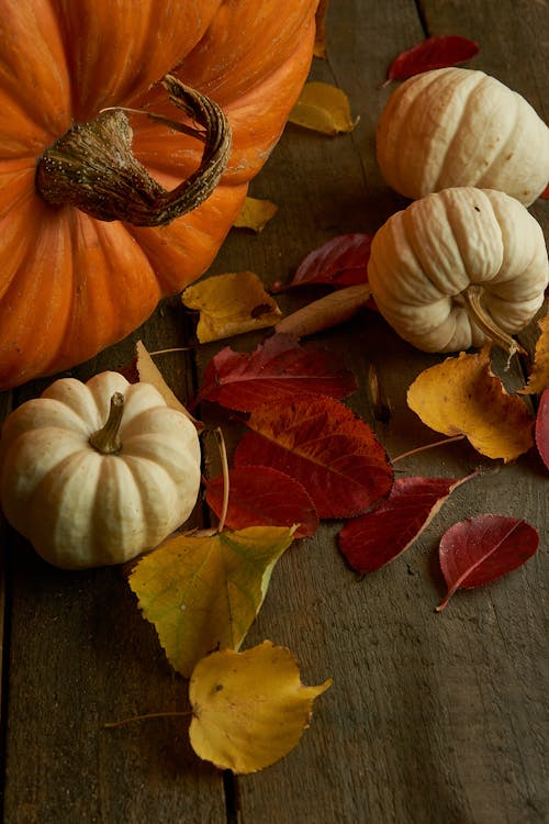 Pumpkins and Autumn Leaves 