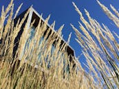 一座现代建筑，金色的麦草映衬在清澈的蓝天下