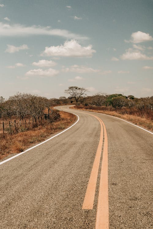 Yellow Lane on the Middle of the Road