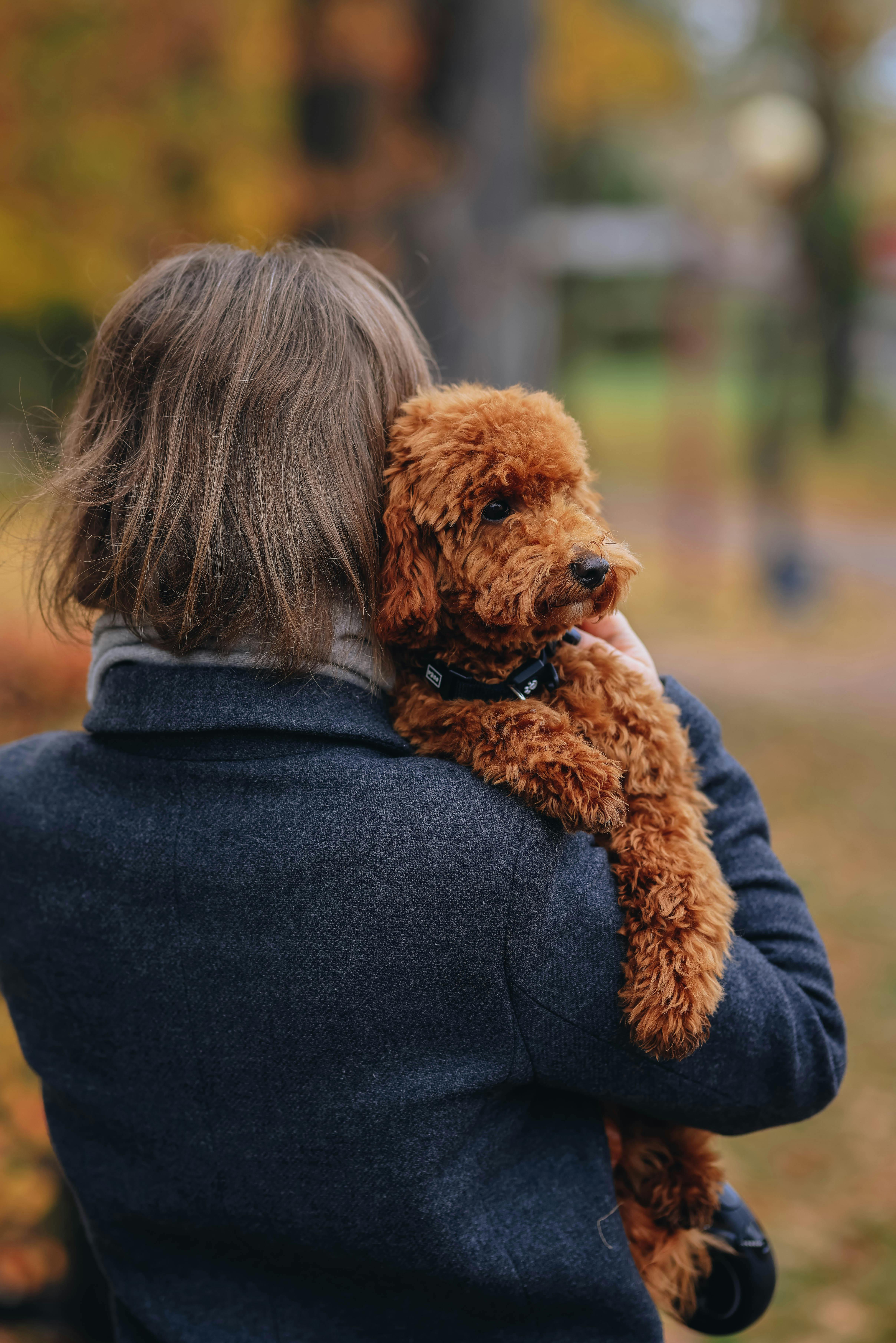Why Do Dogs Have Wet Noses? Discover The Fascinating Truth! 9 Can Weather Affect a Dog’s Nose? The Truth About Seasonal Changes