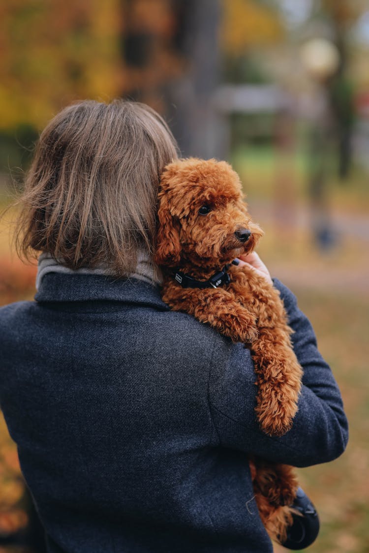 Woman In Coat Holding Dog