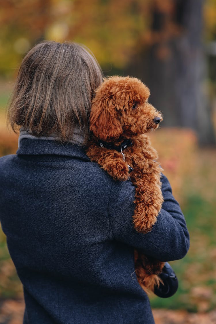 Back View Of Woman With Dog