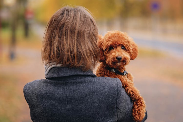 Woman In Coat And Dog