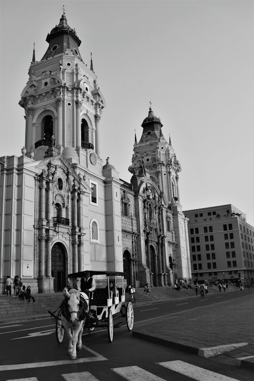 Ilmainen kuvapankkikuva tunnisteilla harmaasävyt, lima, liman metropolitan katedraali