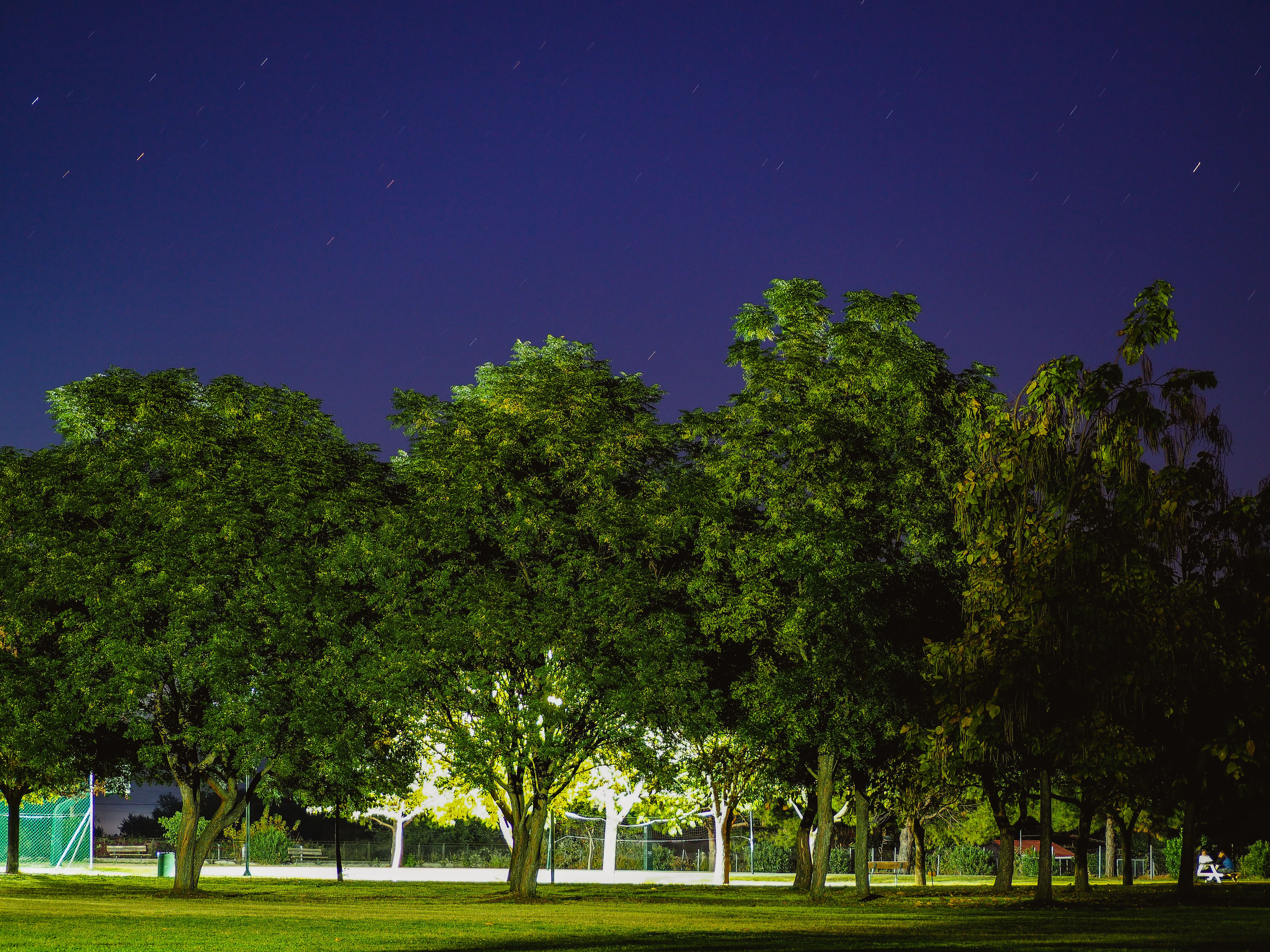 Open lawn, ball diamond and mature shade trees at Thompson Park in Upper Arlington