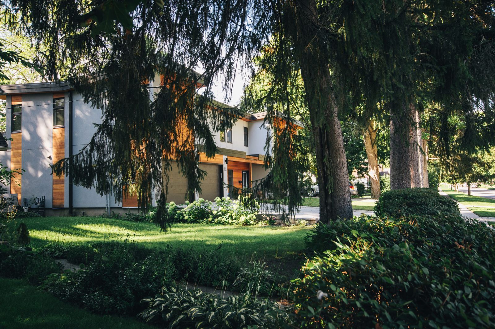A contemporary two-story home with cedar-paneled accents set among tall evergreen and shade trees behind a lush garden, Lawn Meadow, Naperville IL