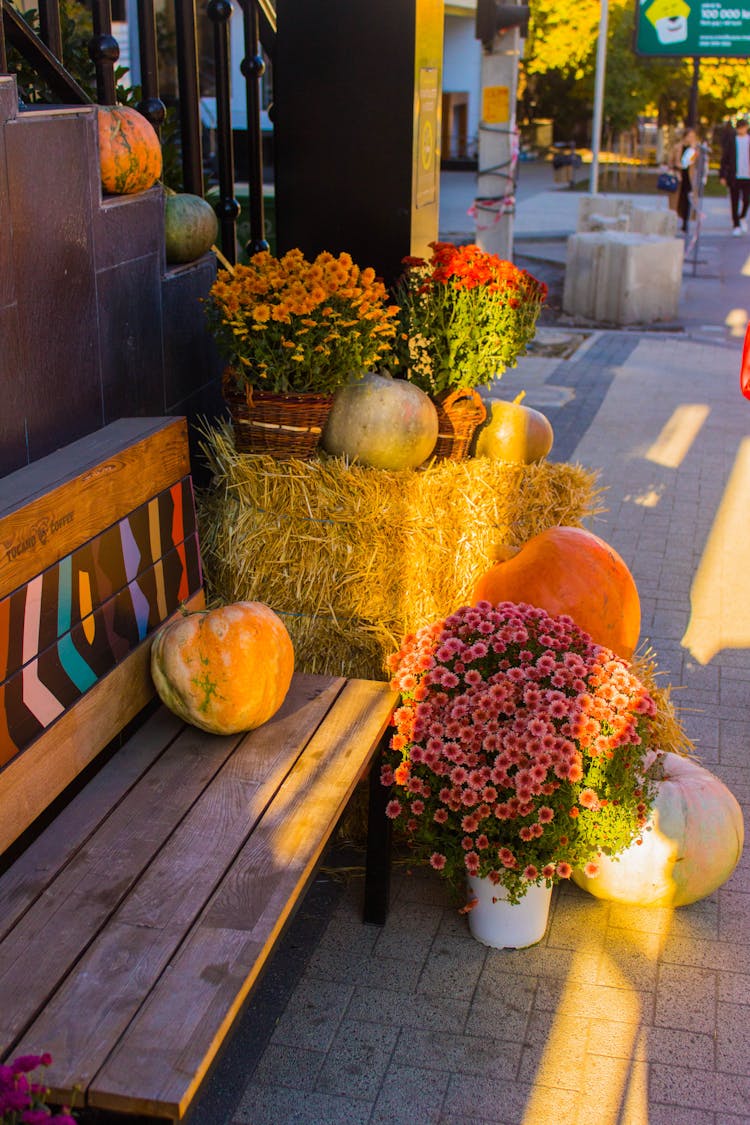 Flowers And Pumpkin On Bench