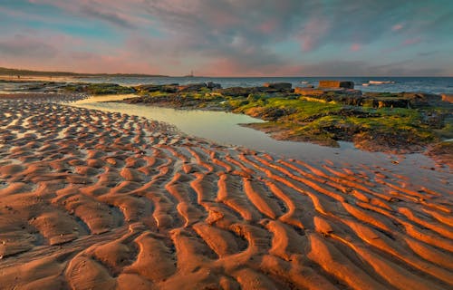 경치, 모래, 바다의 무료 스톡 사진