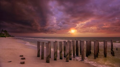 Photo of Seashore during Sunset