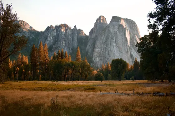 Cathedral Rocks above the Yosemite Valley floor