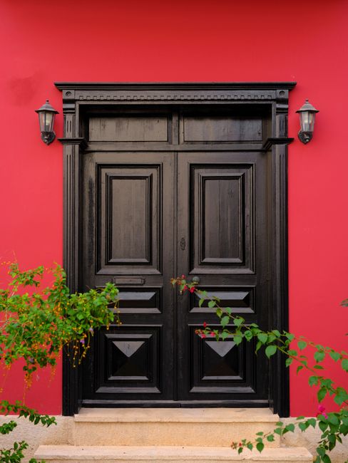 A striking black wooden door set against a vibrant red wall, accented by green foliage.