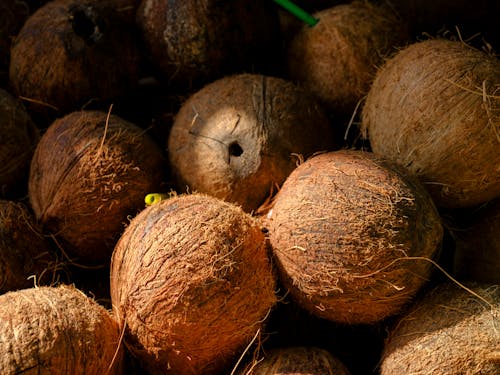 Brown Coconuts in Close-Up Photography