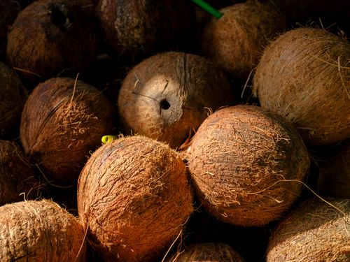 Free High-quality image of brown coconuts in a market setting, perfect for food and nature themes. Stock Photo