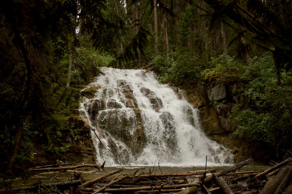 Water Falls in the Middle of Forest