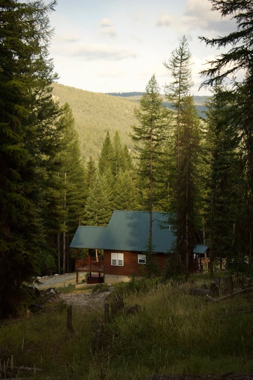 Green and Brown House Near Green Trees