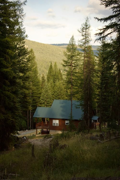 Free A scenic view of a cabin nestled among tall evergreen trees in a mountainous forest. Stock Photo