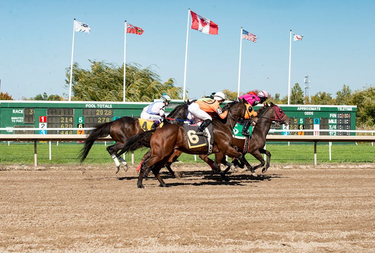 Men In Uniforms Riding Horses At Competition