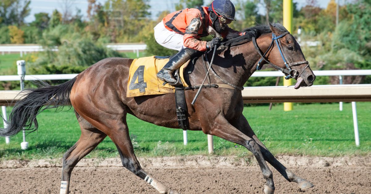 Horse Racing Ride Person Riding on a Racing Horse · Free Stock Photo