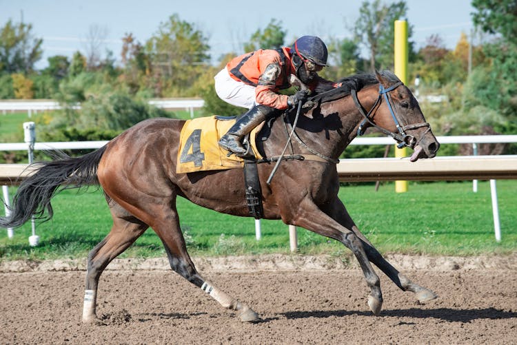 Person Riding On A Racing Horse