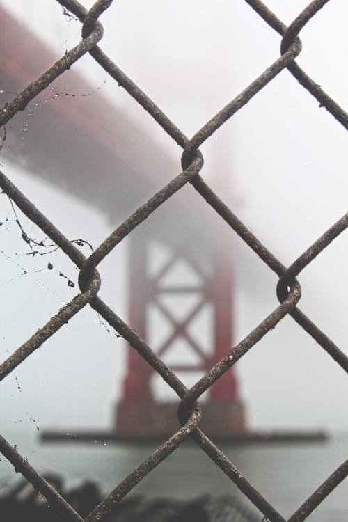 Darmowe zdjęcie z galerii z fotografia makro, golden gate bridge, kalifornia