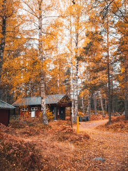 A scenic view of a rustic cabin amongst vibrant autumn trees in Grinda, Stockholm County.