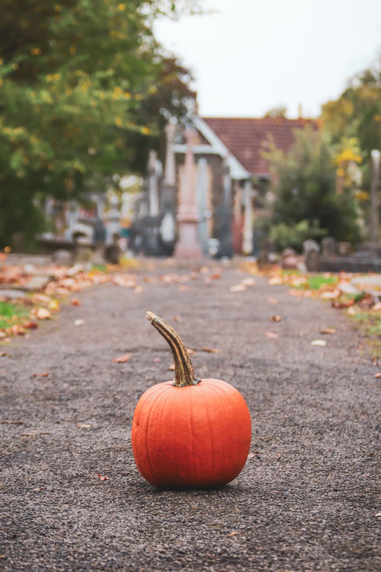 Pumpkin On Sidewalk