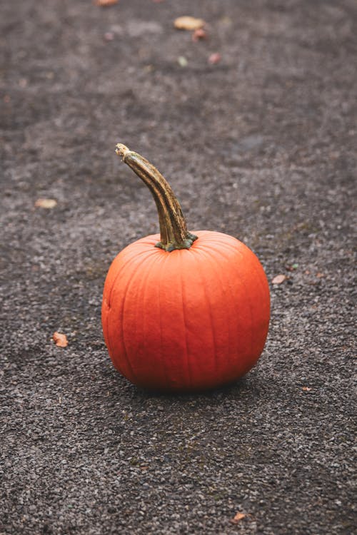 Orange Pumpkin on Gray Asphalt Road