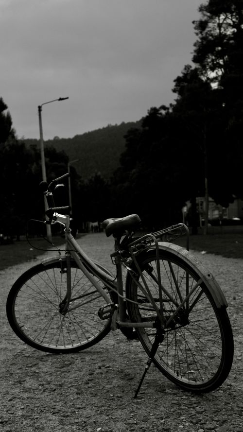 Free A solitary vintage bicycle rests on a gravel path under a cloudy sky, captured in moody monochrome. Stock Photo
