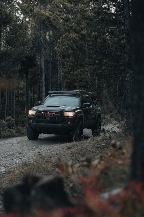 Offorad Car Driving on Road in Forest